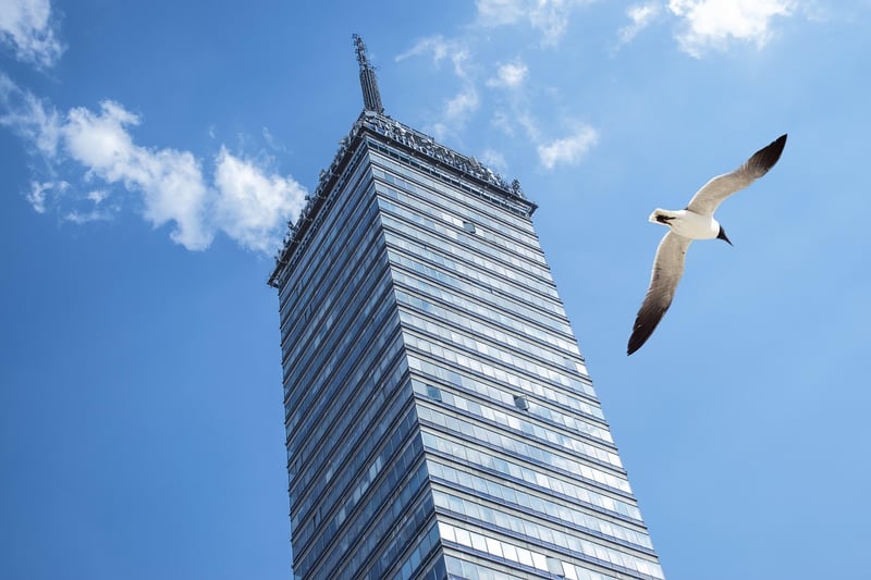 Latin American Delights